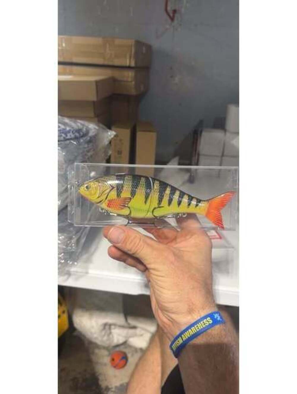 Fish Fishing Lure